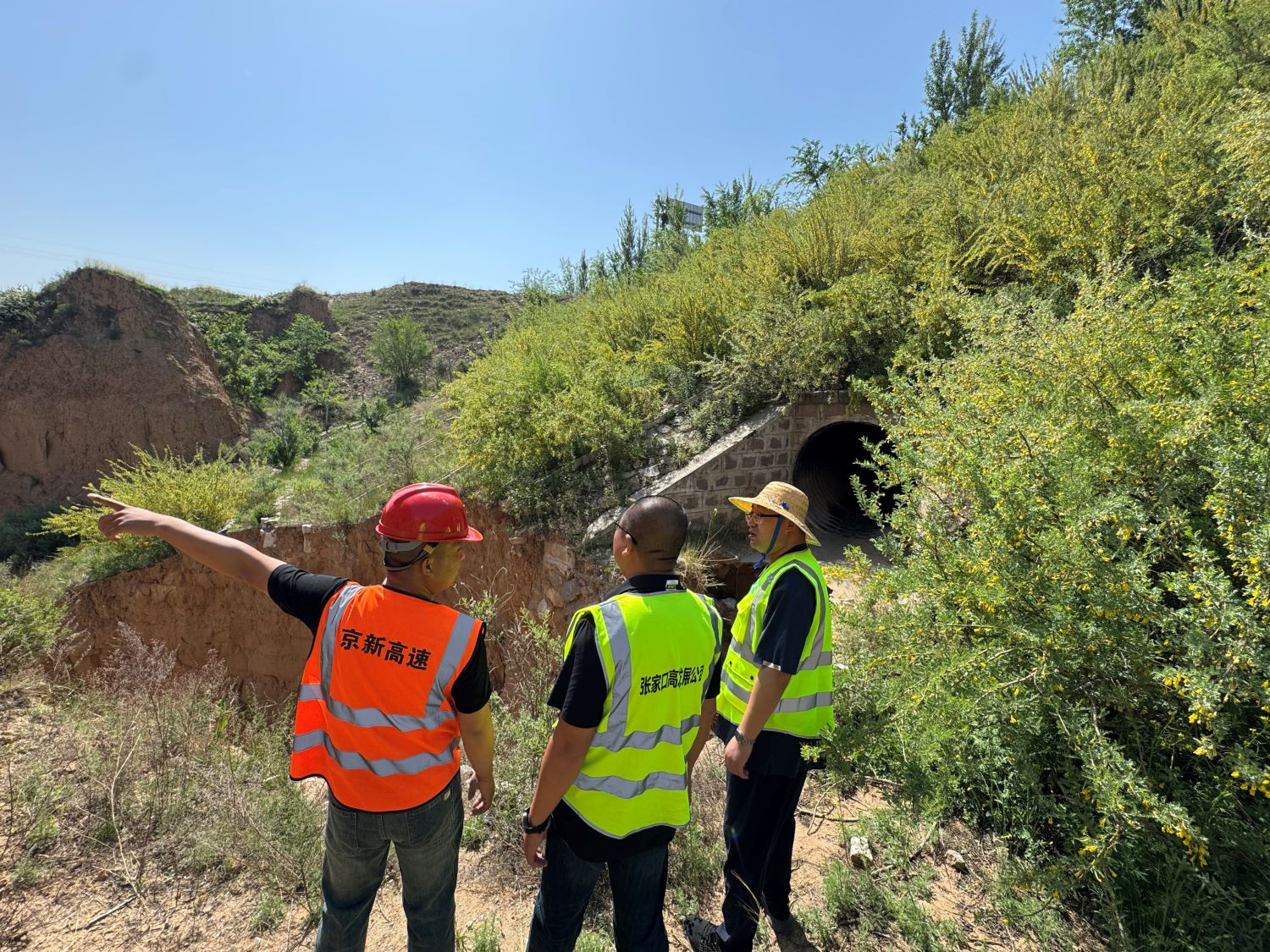 1747734211564738.jpg 160cfe2b-8408-4a5d-adde-f9e20ec8bc3d.jpg